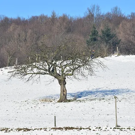 Ferienbauernhof Brandt Vakantieboerderij *