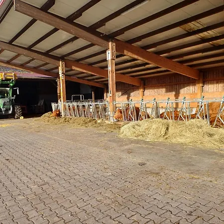 Bauernhof Ferienbauernhof Brandt *