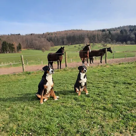 Ferienbauernhof Brandt Farm stay Klein-Bieberau