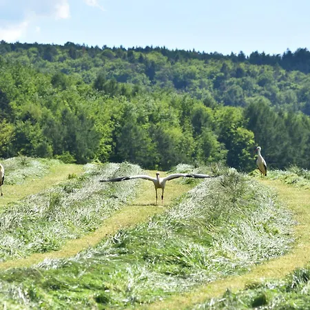 Ferienbauernhof Brandt * Klein-Bieberau
