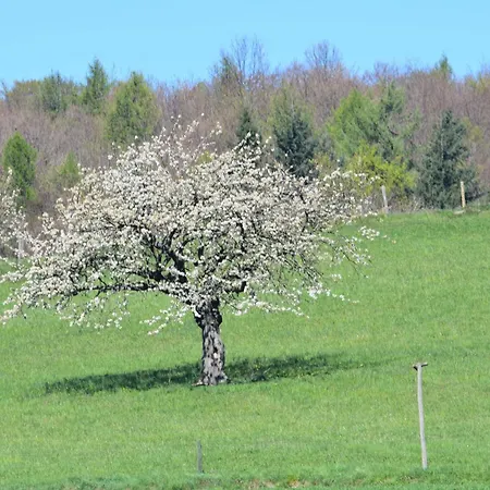Bauernhof Ferienbauernhof Brandt
