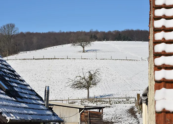 Bauernhof Ferienbauernhof Brandt Klein-Bieberau