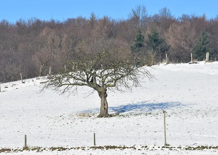 Ferienbauernhof Brandt Bauernhof *