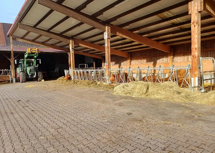 Bauernhof Ferienbauernhof Brandt *