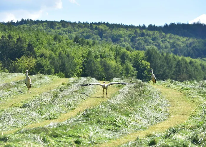 Ferienbauernhof Brandt * Klein-Bieberau