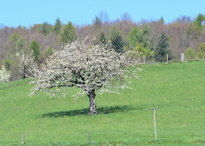 Bauernhof Ferienbauernhof Brandt