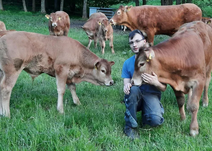 Bauernhof Ferienbauernhof Brandt *